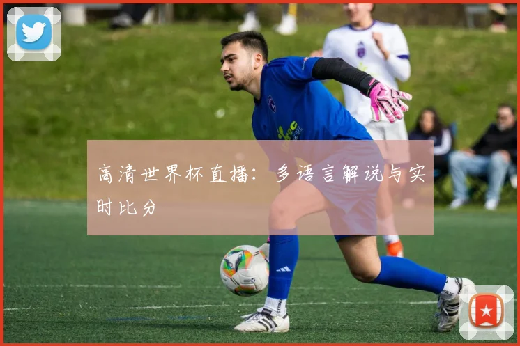 高清世界杯直播：多语言解说与实时比分