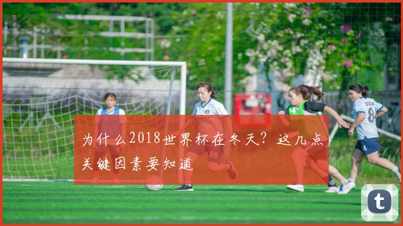 为什么2018世界杯在冬天？这几点关键因素要知道