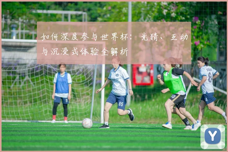 如何深度参与世界杯：竞猜、互动与沉浸式体验全解析