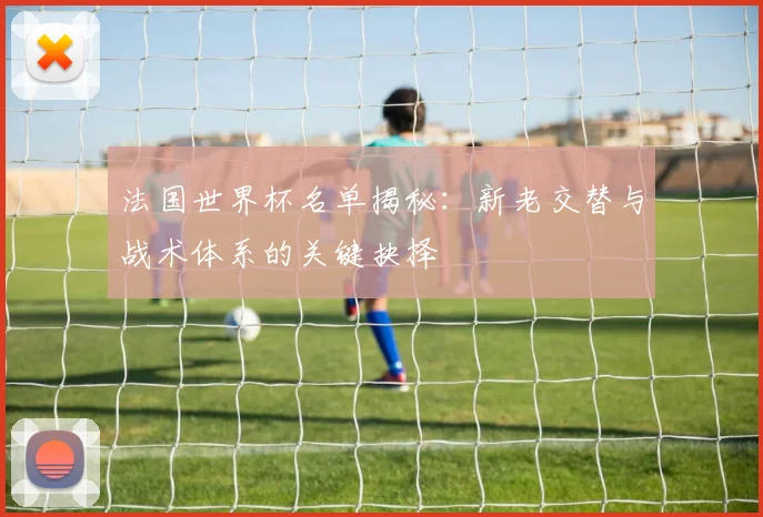 法国世界杯名单揭秘：新老交替与战术体系的关键抉择