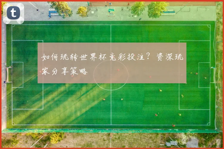 如何玩转世界杯竞彩投注？资深玩家分享策略